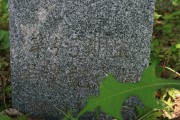 image_45