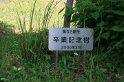 image52
