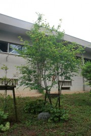 image_56-1